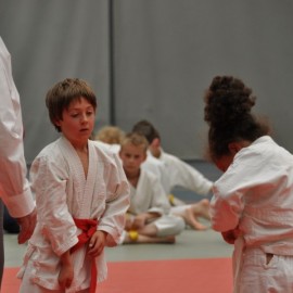 DSC 0608  Small - Judoclub Zaventem 